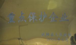 重點(diǎn)保護企業(yè)